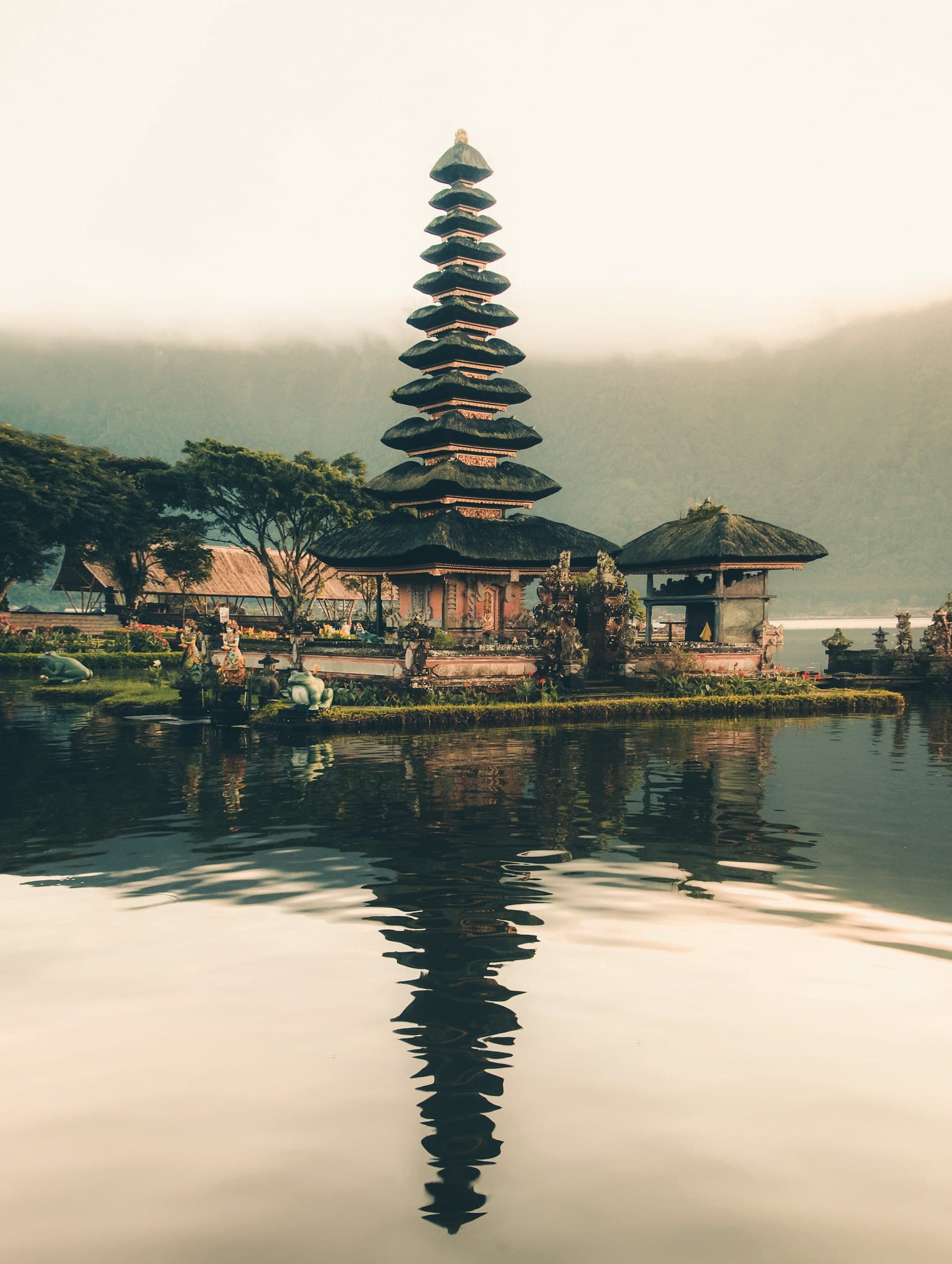 Rice terraces stepping down a green hillside in Bali